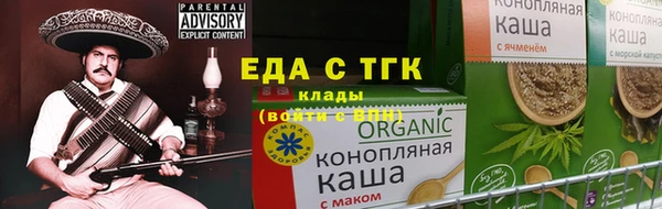 шишки Абаза
