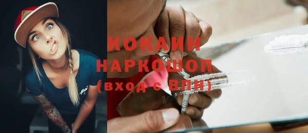 шишки Абаза