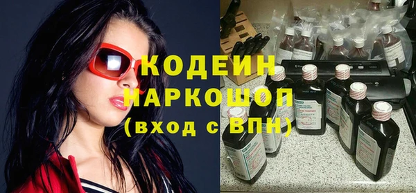 шишки Абаза